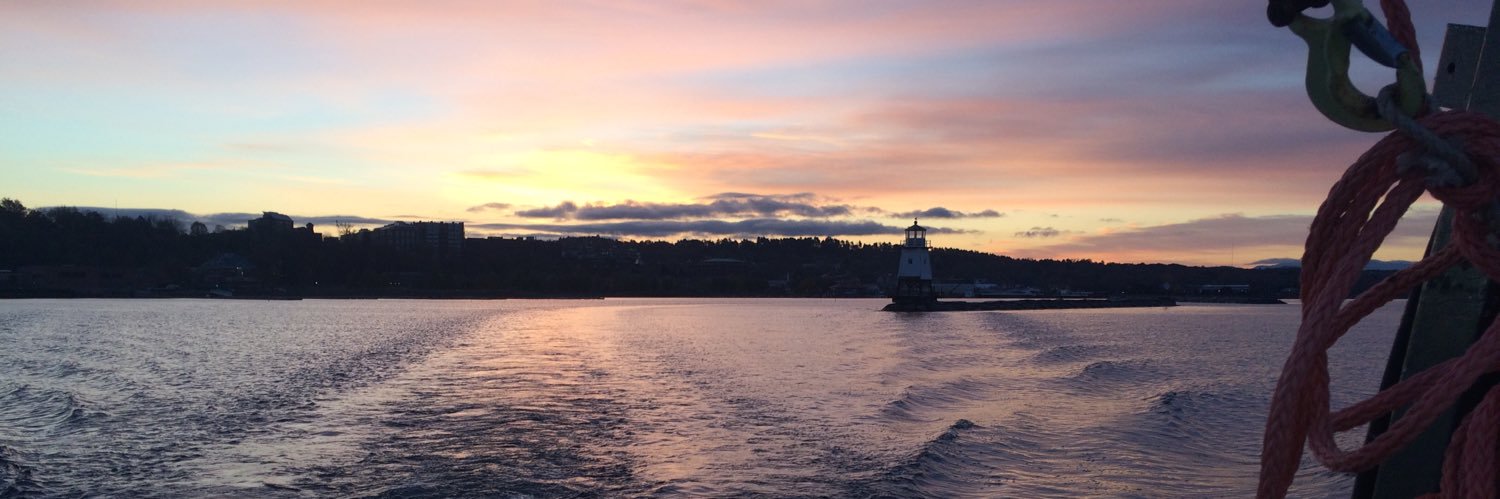 Dr. Lisa Izzo banner