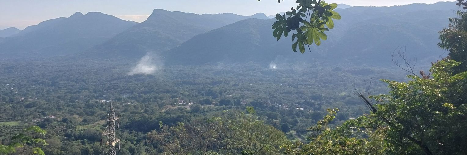JezziRap's profile banner image