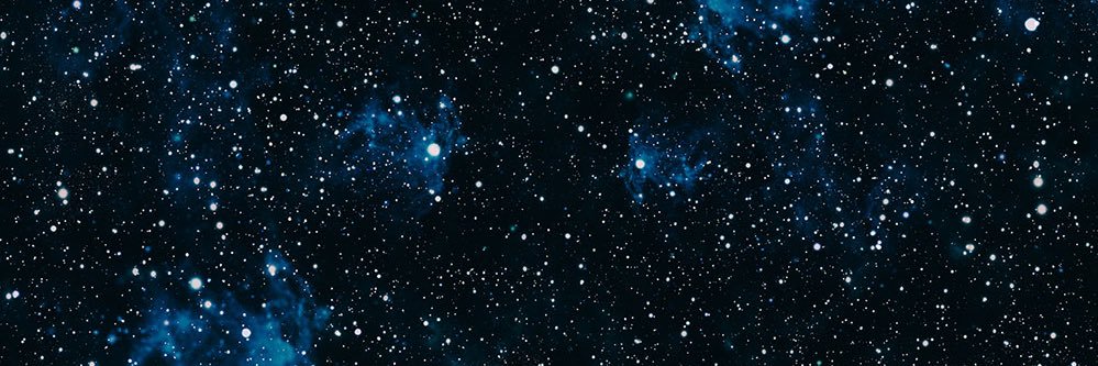 Evening Primrose banner