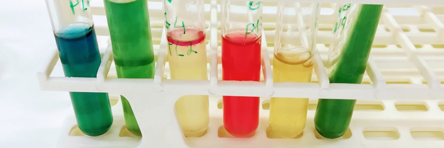 Isabel Henriques banner