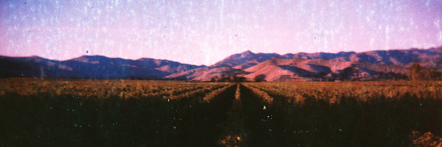 conir's profile banner image