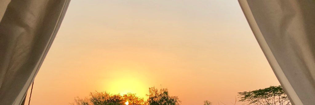 todimadhur's profile banner image