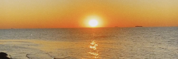 Türkan Ay banner