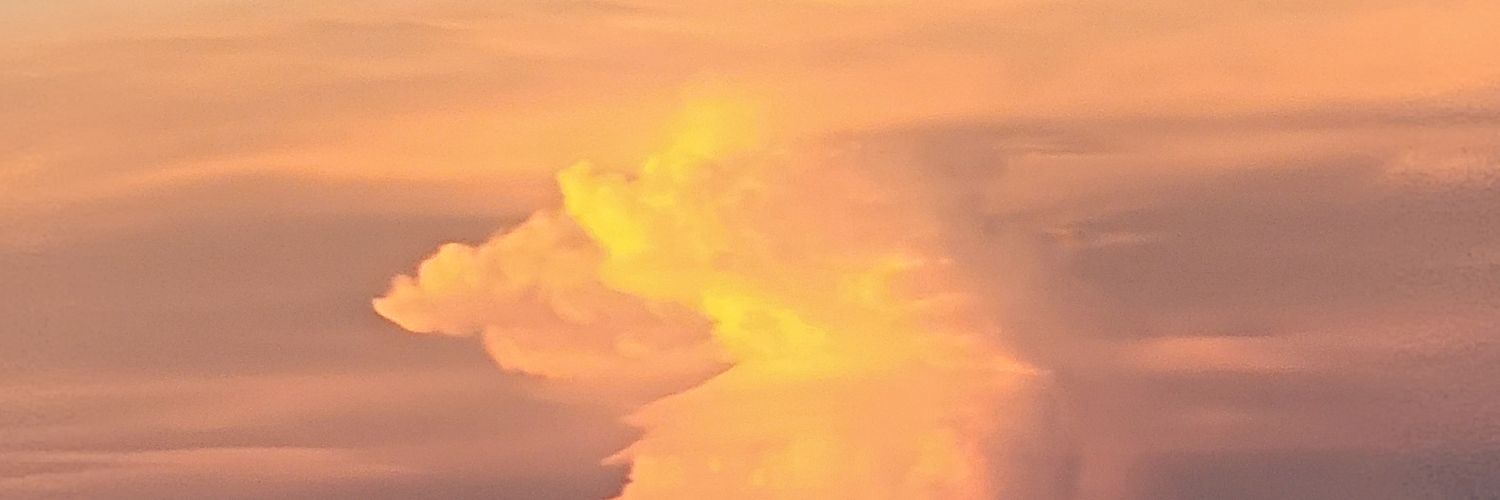 EGCevergrow's profile banner image