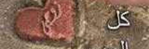 Sn1400Sn's profile banner image