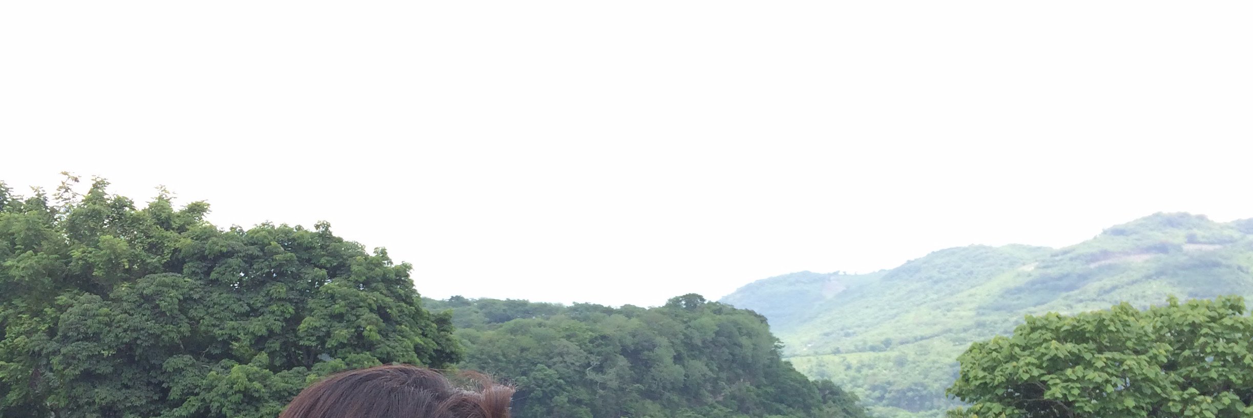 Leonardo Martínez banner