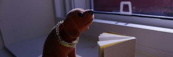 PSGuelph Profile Banner