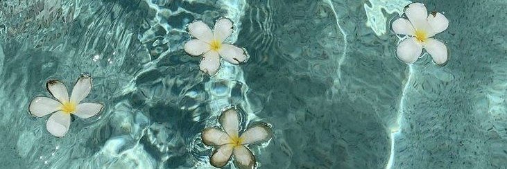 mahsa.base.eth banner