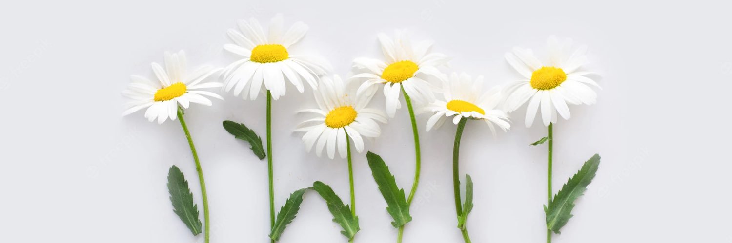 dania_rd's profile banner image