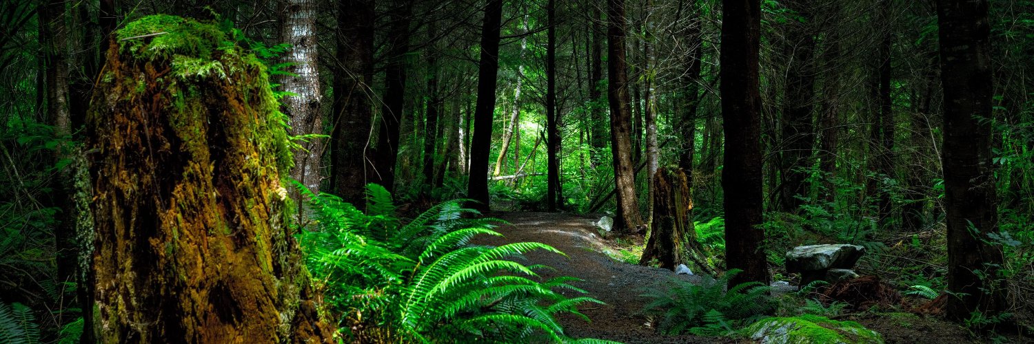 SamJane 🇬🇧 🇨🇦 🇺🇸 (she/her) banner