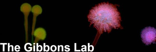 GibbonsGenomics Profile Banner