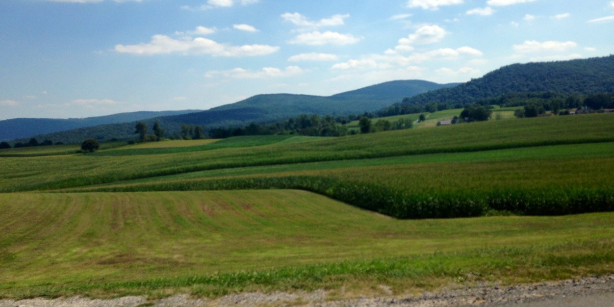 sheryl_kline's profile banner image