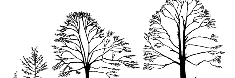 nolanpatterson's profile banner image