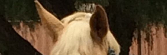 munk_edie's profile banner image