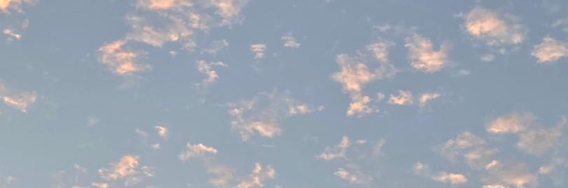 willia0110's profile banner image
