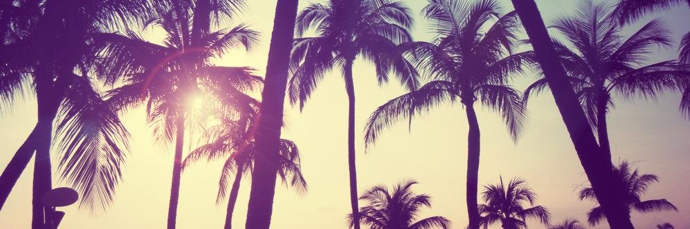 MelisaRoca's profile banner image