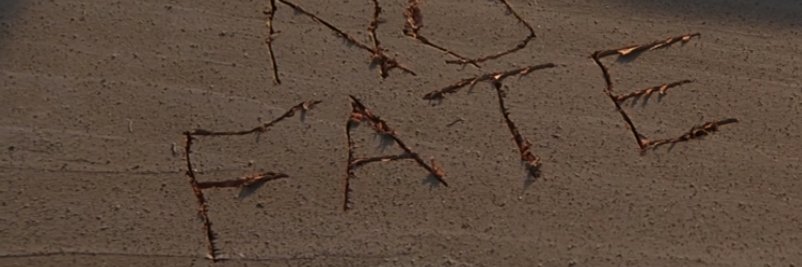 Daria_812's profile banner image