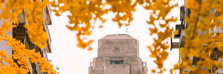 CotiSolari's profile banner image