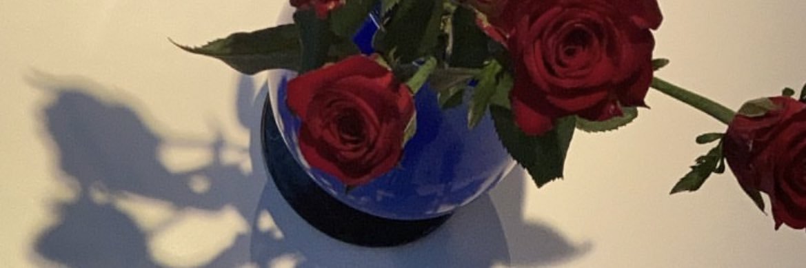plimsollpunqs's profile banner image
