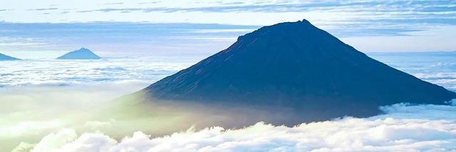 Cak blondo banner
