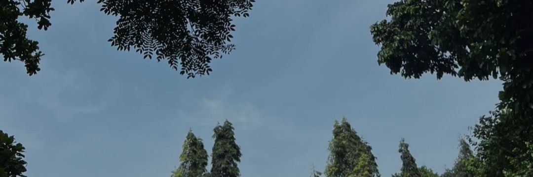 DaFin__'s profile banner image