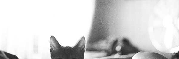 bryanna23 Profile Banner