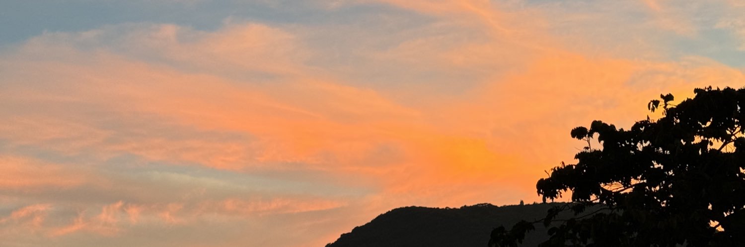 alui29sl's profile banner image