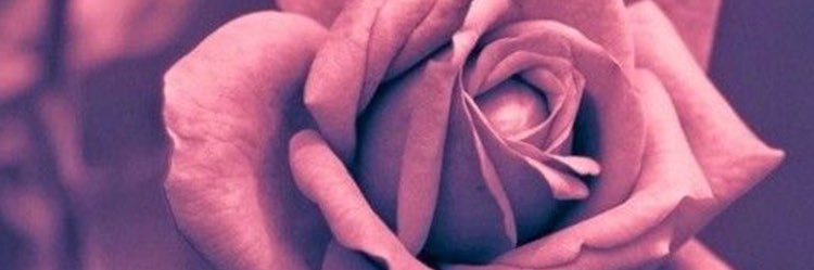 JReyy69's profile banner image