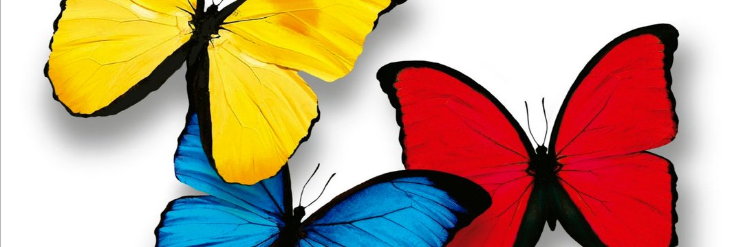 AidaYanesy's profile banner image