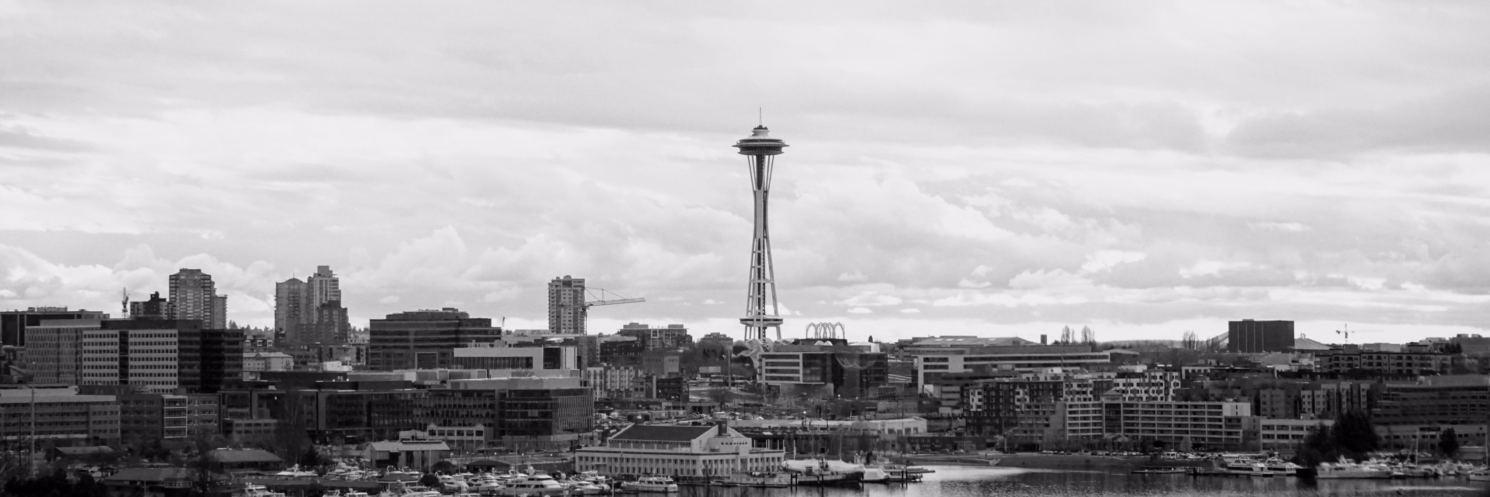 misaxi's profile banner image