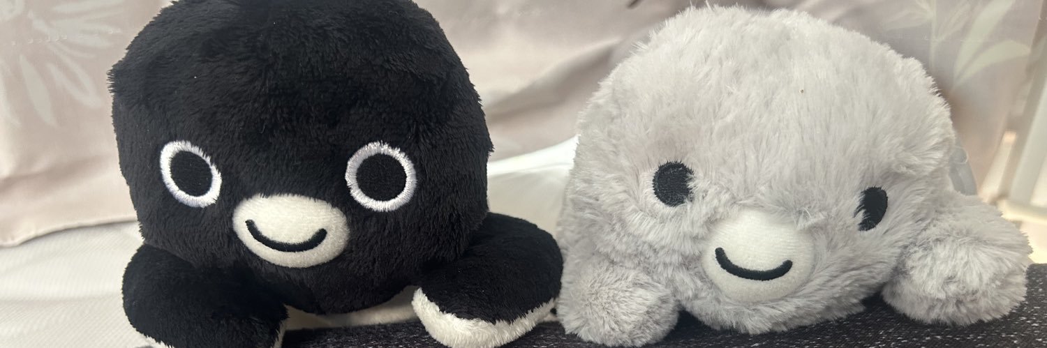 krkr_starlight's profile banner image