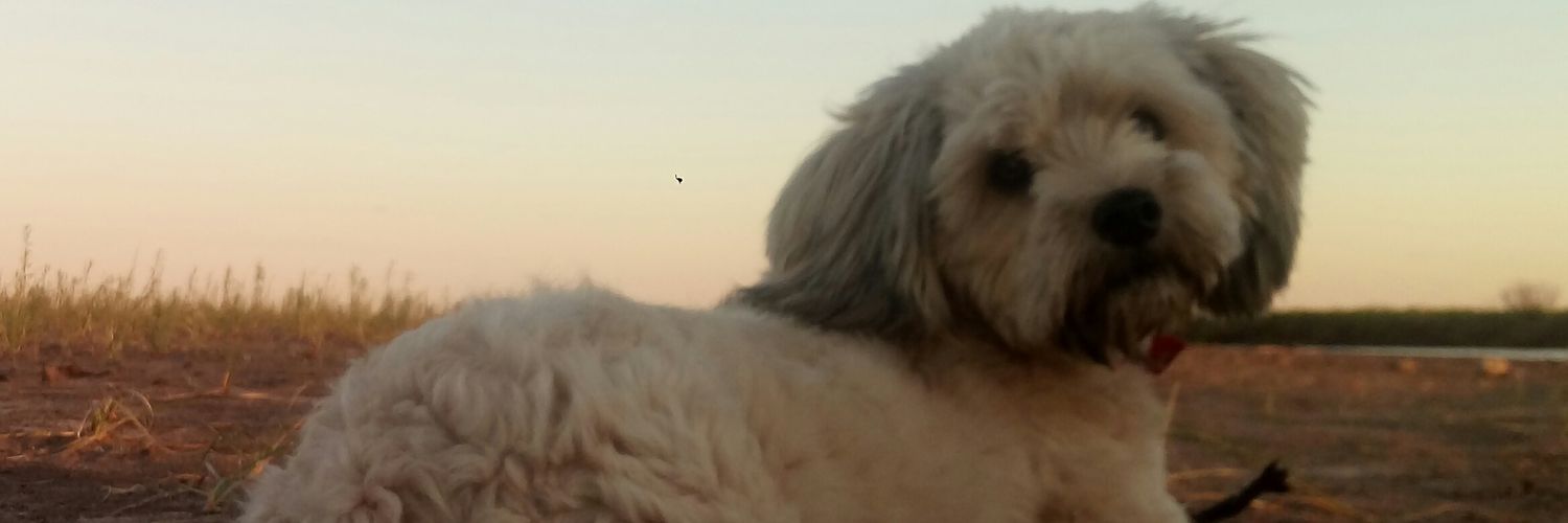 Tomy__22's profile banner image