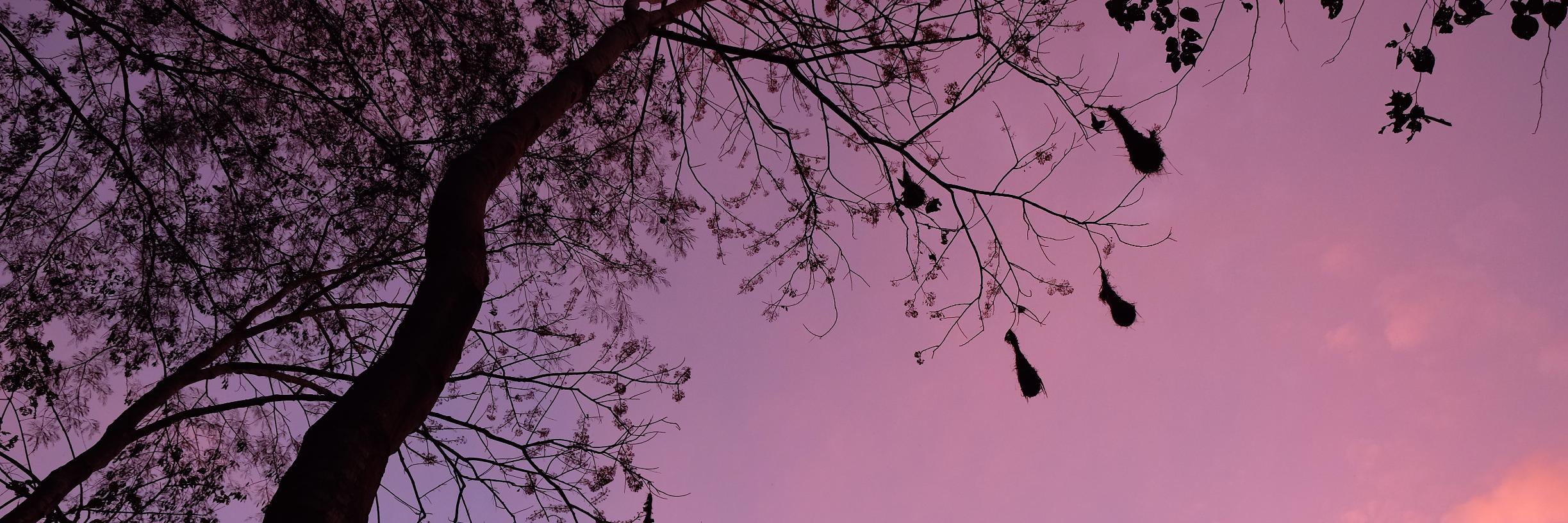 jhakuta's profile banner image