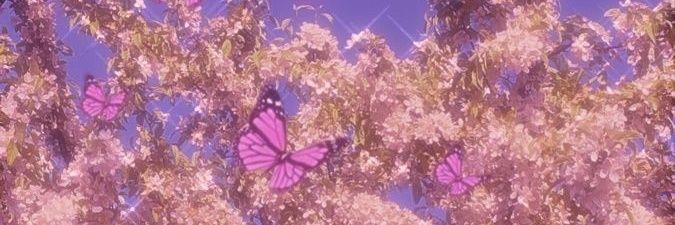aandromeda00's profile banner image