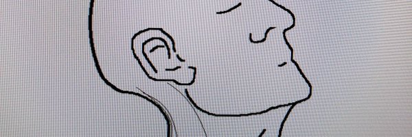 SigneBergliot Profile Banner