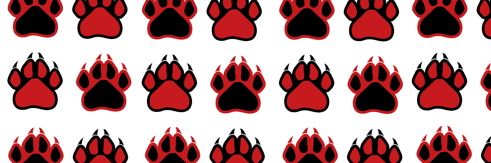 FranklinWildcatFB banner