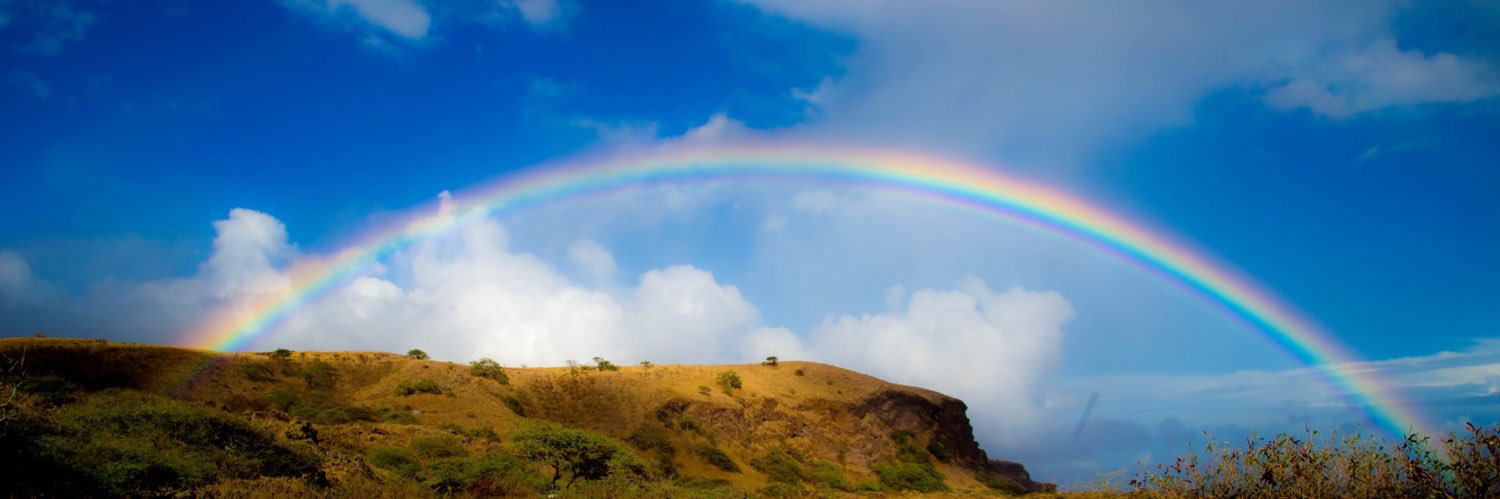 Michael O'Herlihy banner