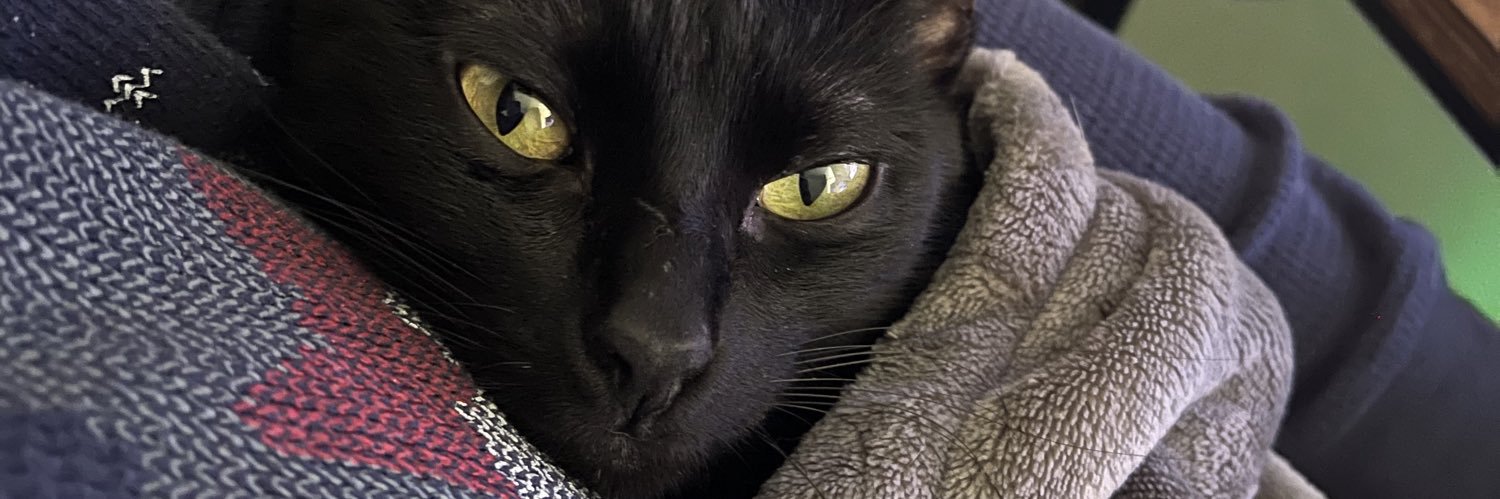 saturnsnut's profile banner image