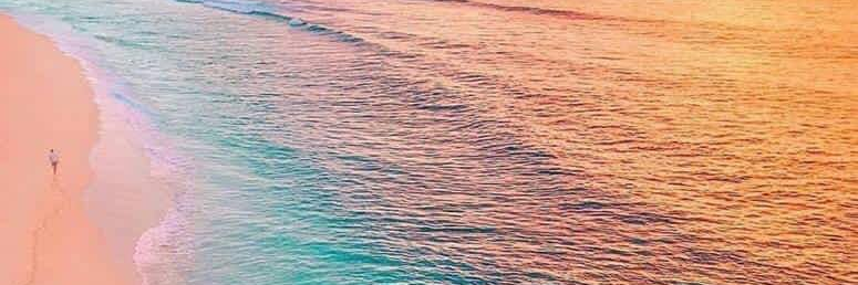 lulyrl's profile banner image
