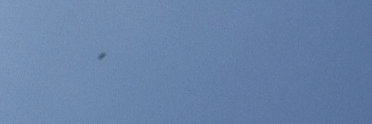 Juliana Santos banner