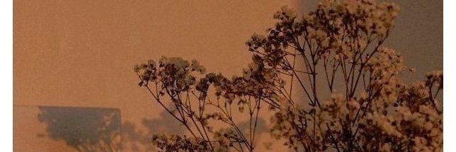 DanCowes's profile banner image