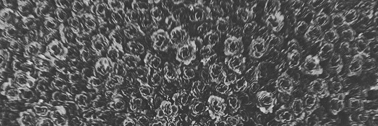 windyapm's profile banner image