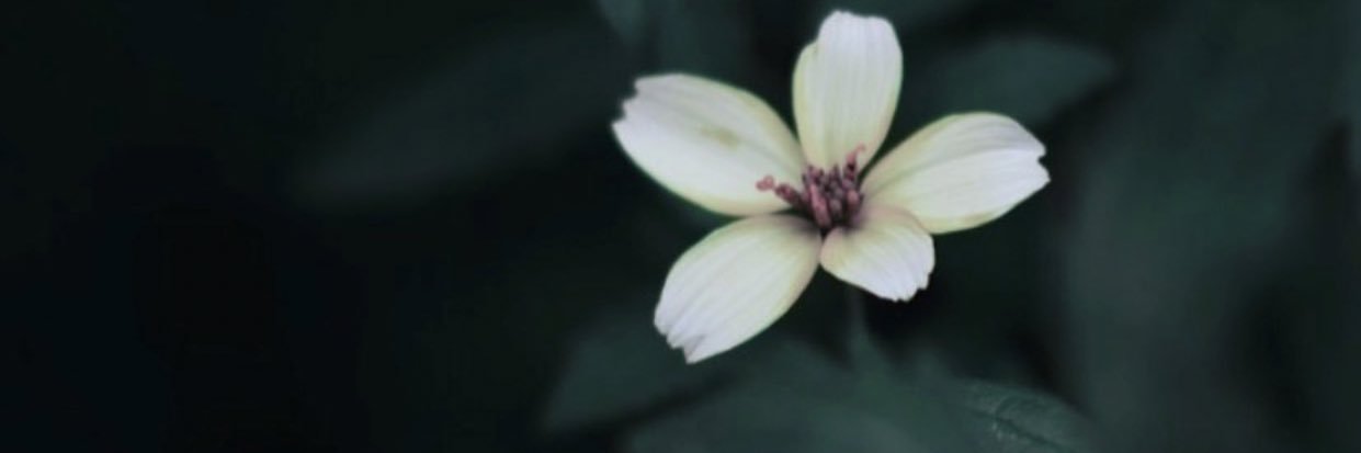 2otah_22's profile banner image