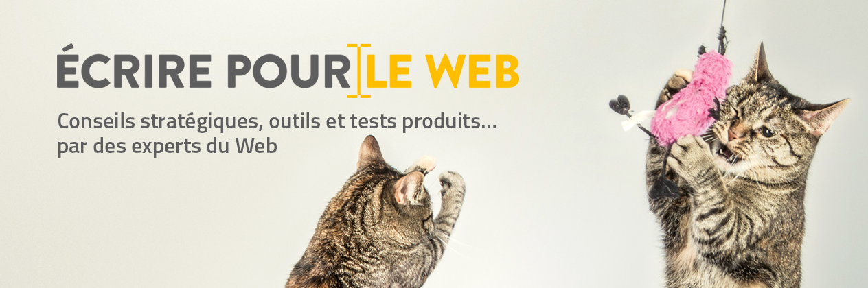 Écrire pour le Web banner