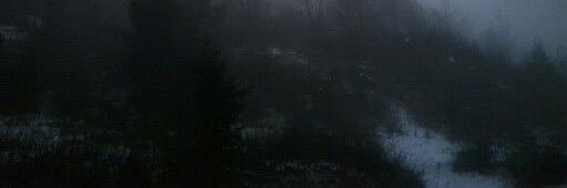 ❀ banner