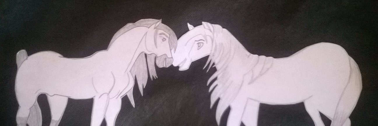 MelanyDM12's profile banner image