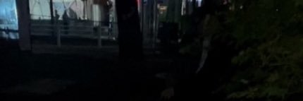 b1emxsh's profile banner image