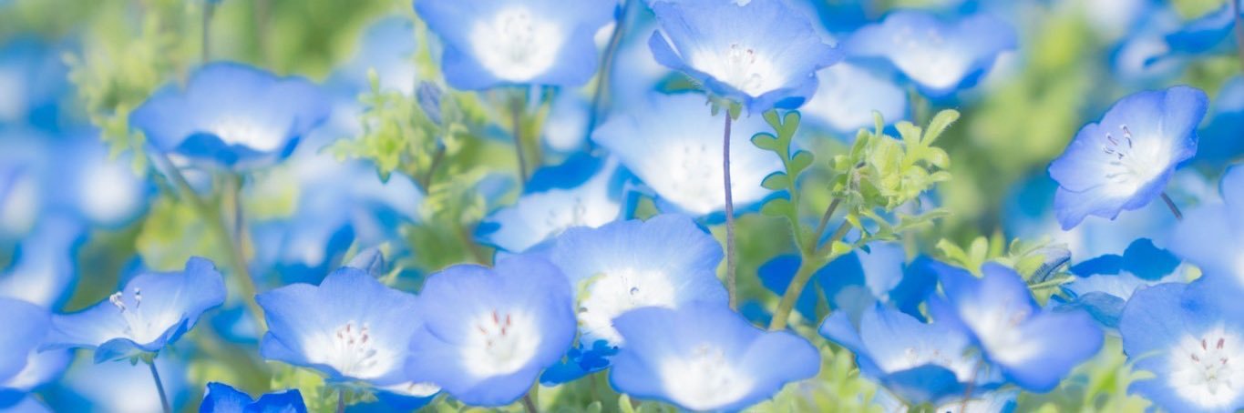 新宮 憧子 banner