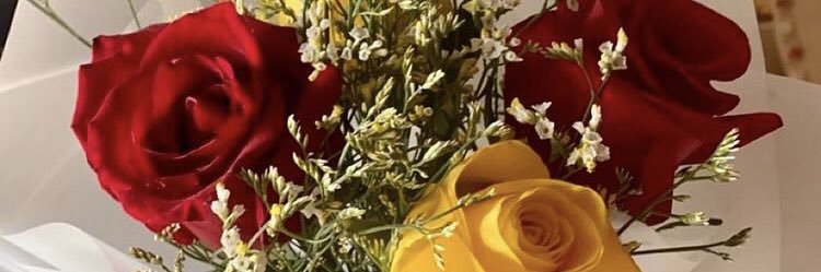 Toriee. banner