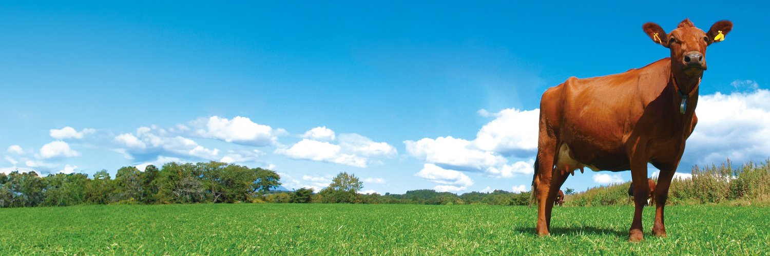 株式会社牧家 banner